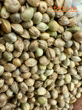 Load image into Gallery viewer, Ripkitty International & Domestic Live Raw Viable Hemp Seeds Sold in Bulk & Single Amounts for Agriculture, Poultry, Equine Feeding, & Livestock