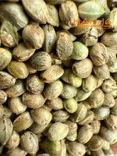 Load image into Gallery viewer, Ripkitty International & Domestic Live Raw Viable Hemp Seeds Sold in Bulk & Single Amounts for Agriculture, Poultry, Equine Feeding, & Livestock
