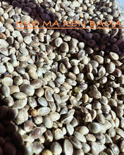 Load image into Gallery viewer, Ripkitty International & Domestic Live Raw Viable Hemp Seeds Sold in Bulk & Single Amounts for Agriculture, Poultry, Equine Feeding, & Livestock