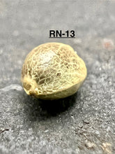 Load image into Gallery viewer, Ripkitty International & Domestic Live Raw Viable Hemp Seeds Sold in Bulk & Single Amounts for Agriculture, Poultry, Equine Feeding, & Livestock