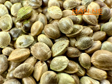 Load image into Gallery viewer, Ripkitty International & Domestic Live Raw Viable Hemp Seeds Sold in Bulk & Single Amounts for Agriculture, Poultry, Equine Feeding, & Livestock