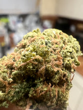 Load image into Gallery viewer, Ripkitty Cherry Abacus CBD Hemp Flower