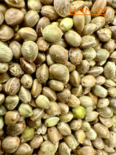 Load image into Gallery viewer, Ripkitty International & Domestic Live Raw Viable Hemp Seeds Sold in Bulk & Single Amounts for Agriculture, Poultry, Equine Feeding, & Livestock