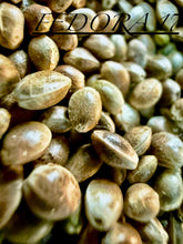 Load image into Gallery viewer, Ripkitty International & Domestic Live Raw Viable Hemp Seeds Sold in Bulk & Single Amounts for Agriculture, Poultry, Equine Feeding, & Livestock