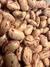 Load image into Gallery viewer, Ripkitty Cranberry Bean Seeds Dried Grow Your Own
