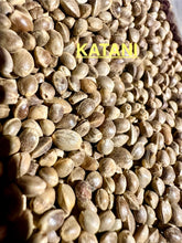 Load image into Gallery viewer, Ripkitty International & Domestic Live Raw Viable Hemp Seeds Sold in Bulk & Single Amounts for Agriculture, Poultry, Equine Feeding, & Livestock