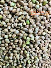 Load image into Gallery viewer, Ripkitty International & Domestic Live Raw Viable Hemp Seeds Sold in Bulk & Single Amounts for Agriculture, Poultry, Equine Feeding, & Livestock