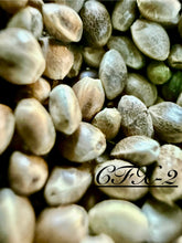 Load image into Gallery viewer, Ripkitty International & Domestic Live Raw Viable Hemp Seeds Sold in Bulk & Single Amounts for Agriculture, Poultry, Equine Feeding, & Livestock