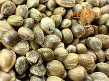 Load image into Gallery viewer, Ripkitty International & Domestic Live Raw Viable Hemp Seeds Sold in Bulk & Single Amounts for Agriculture, Poultry, Equine Feeding, & Livestock