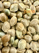 Load image into Gallery viewer, Ripkitty International & Domestic Live Raw Viable Hemp Seeds Sold in Bulk & Single Amounts for Agriculture, Poultry, Equine Feeding, & Livestock