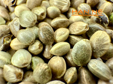 Load image into Gallery viewer, Ripkitty International & Domestic Live Raw Viable Hemp Seeds Sold in Bulk & Single Amounts for Agriculture, Poultry, Equine Feeding, & Livestock