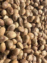 Load image into Gallery viewer, Ripkitty Premium Toasted Organic Hemp Seeds