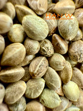 Load image into Gallery viewer, Ripkitty International & Domestic Live Raw Viable Hemp Seeds Sold in Bulk & Single Amounts for Agriculture, Poultry, Equine Feeding, & Livestock