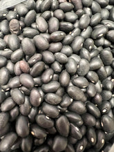 Load image into Gallery viewer, Ripkitty Organic Black Beans - Plantable, High-Yield, Affordable, Non-GMO