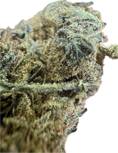 Load image into Gallery viewer, Ripkitty Black Truffle THCA Hemp Flowers