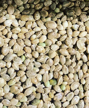 Load image into Gallery viewer, Ripkitty Premium Live Raw Viable Sprouts Organic Whole Hemp Seeds