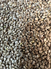 Load image into Gallery viewer, Ripkitty Premium Live Raw Viable Sprouts Organic Whole Hemp Seeds