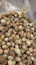 Load and play video in Gallery viewer, Ripkitty International & Domestic Live Raw Viable Hemp Seeds Sold in Bulk & Single Amounts for Agriculture, Poultry, Equine Feeding, & Livestock