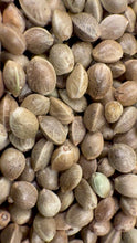Load and play video in Gallery viewer, Ripkitty International & Domestic Live Raw Viable Hemp Seeds Sold in Bulk & Single Amounts for Agriculture, Poultry, Equine Feeding, & Livestock