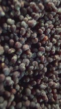 Load and play video in Gallery viewer, Ripkitty Premium Unwashed Untreated Unprocessed Organic Natural Whole Raw Papaver Somniferum Culinary Poppy Seeds