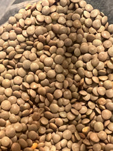 Load image into Gallery viewer, Ripkitty Masoor (Lens culinaris) Lentil Seeds for Sprouting