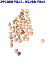 Load image into Gallery viewer, Ripkitty Premium Pigeon Peas (Gungo) Cajanus Cajan