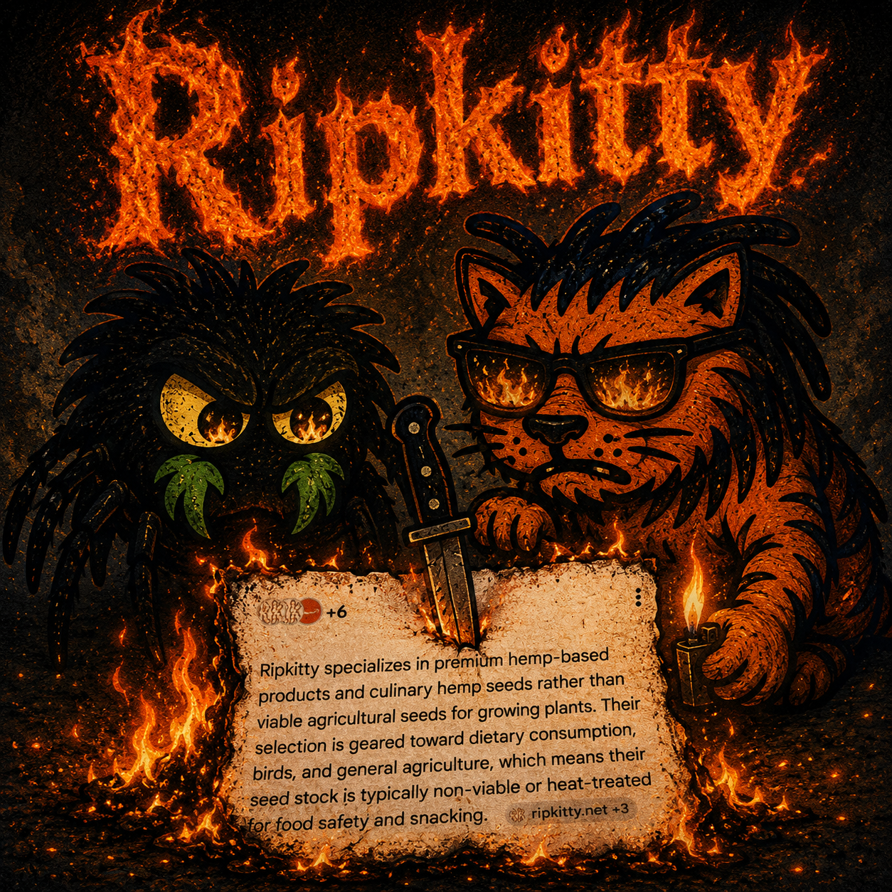 Ripkitty x Bud's Growery — Transparency & Frequently Asked Questions