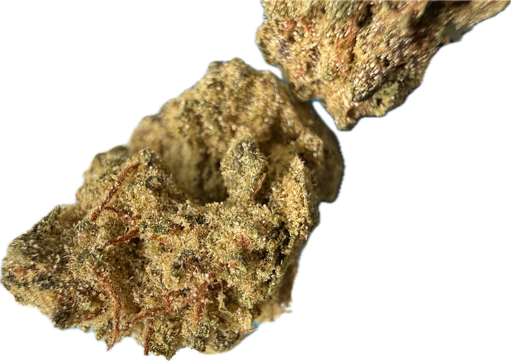 Ripkitty Pineapple Sangria Delta-8 hemp flower — two nugs angled diagonally showing golden trichome coverage over olive-green calyxes with rust-amber pistils and dense bud structure, white background