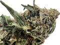 Ripkitty Forbidden V CBD Hemp Flowers