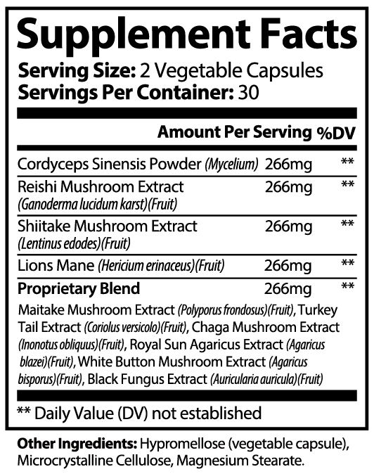 Ripkitty Mycelium Mastery: 10-Mushroom Ultra-Complex (60 Capsules)