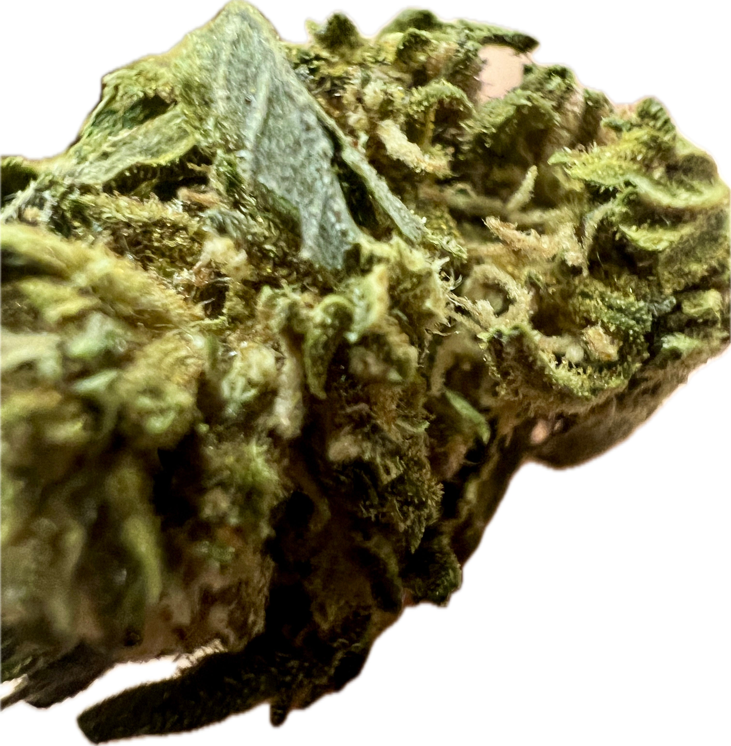 Ripkitty Mixed THCA Hemp Flowers