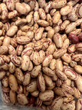 Ripkitty Cranberry Bean Seeds - High-Yield Non-GMO Spotted Legume