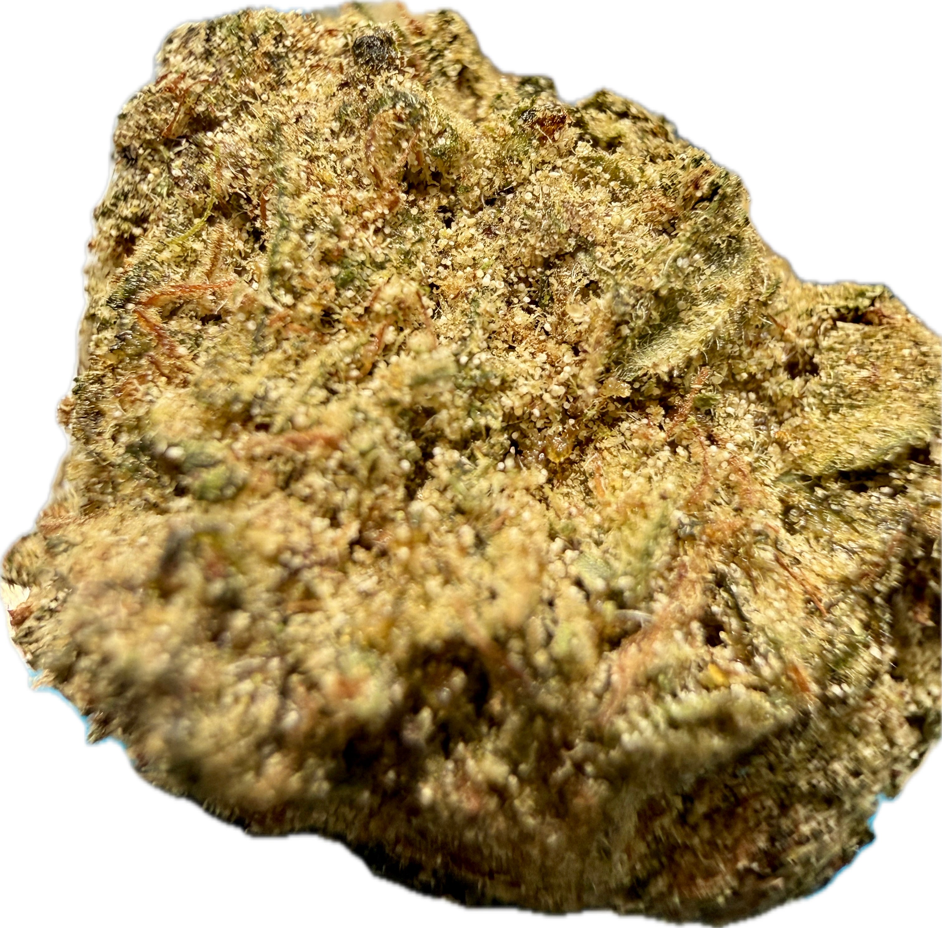 Ripkitty Strawberry Fritters Delta-8 hemp flower — extreme macro close-up of large flat nug showing dense golden-tan trichome coating over olive-green calyxes with amber pistils and irregular bud structure, white background
