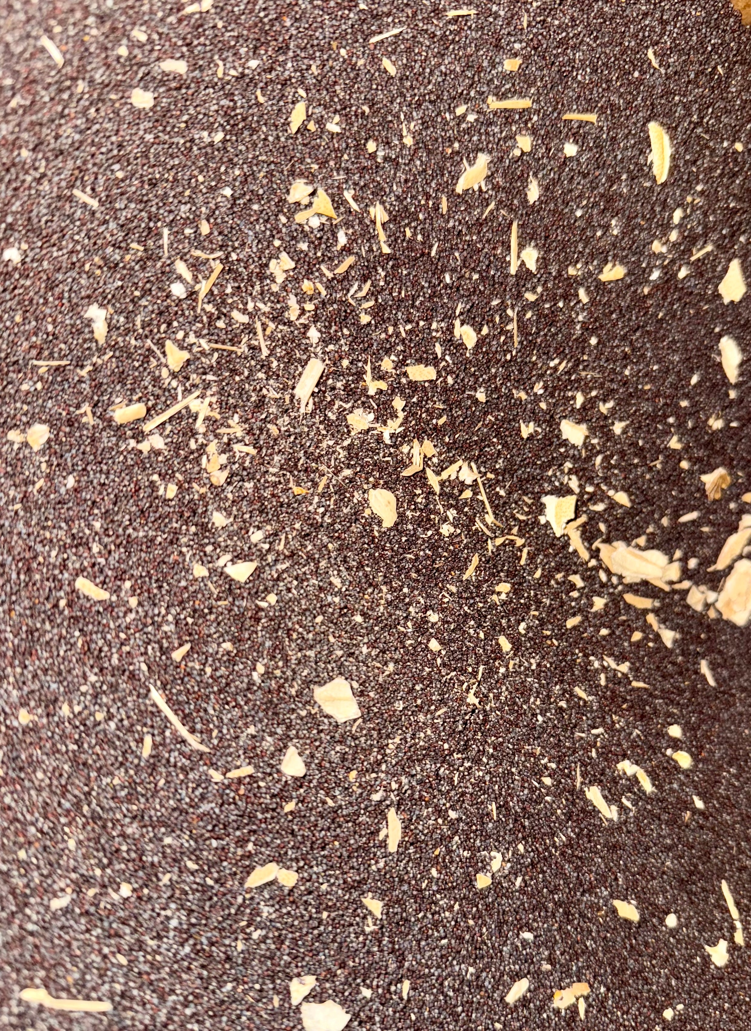 Ripkitty Premium Unwashed Untreated Unprocessed Organic Natural Whole Raw Papaver Somniferum Culinary Poppy Seeds