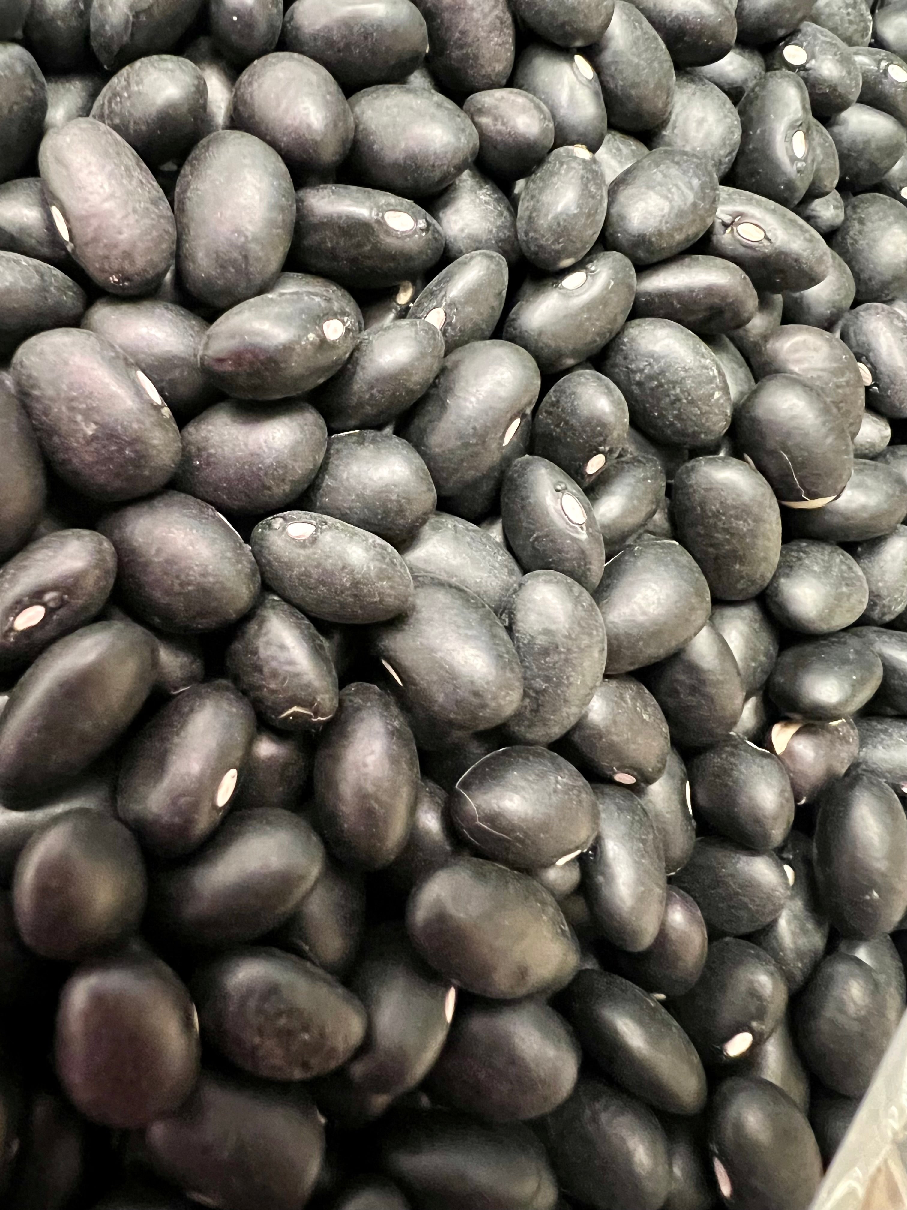 Ripkitty Organic Black Beans - Plantable, High-Yield, Affordable, Non-GMO