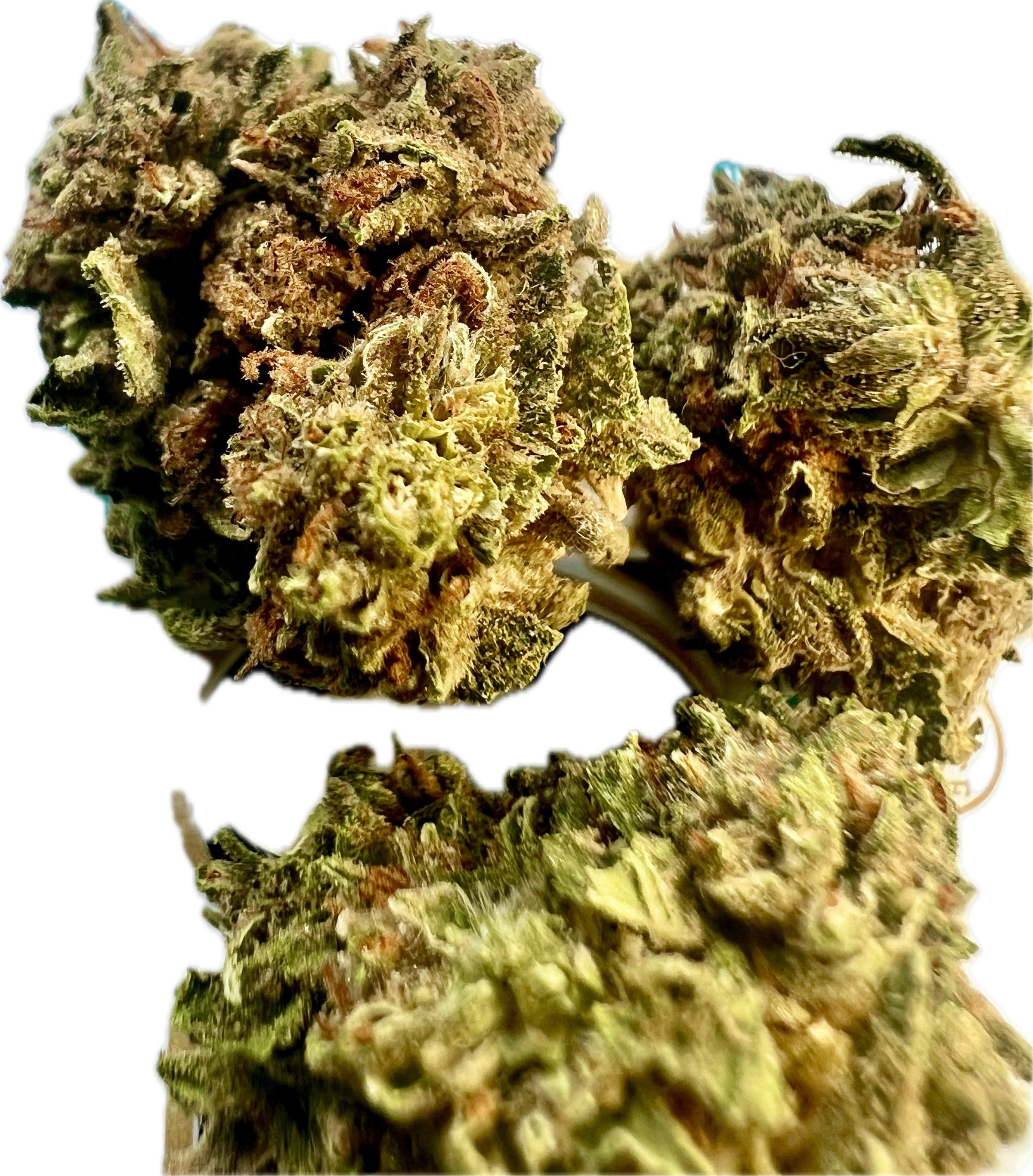 Ripkitty Gelato #33 THCA Hemp Flowers