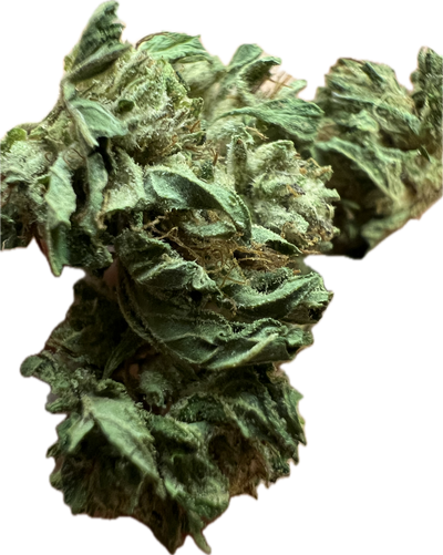 Ripkitty Bubba Kush 59 CBD Hemp Flowers