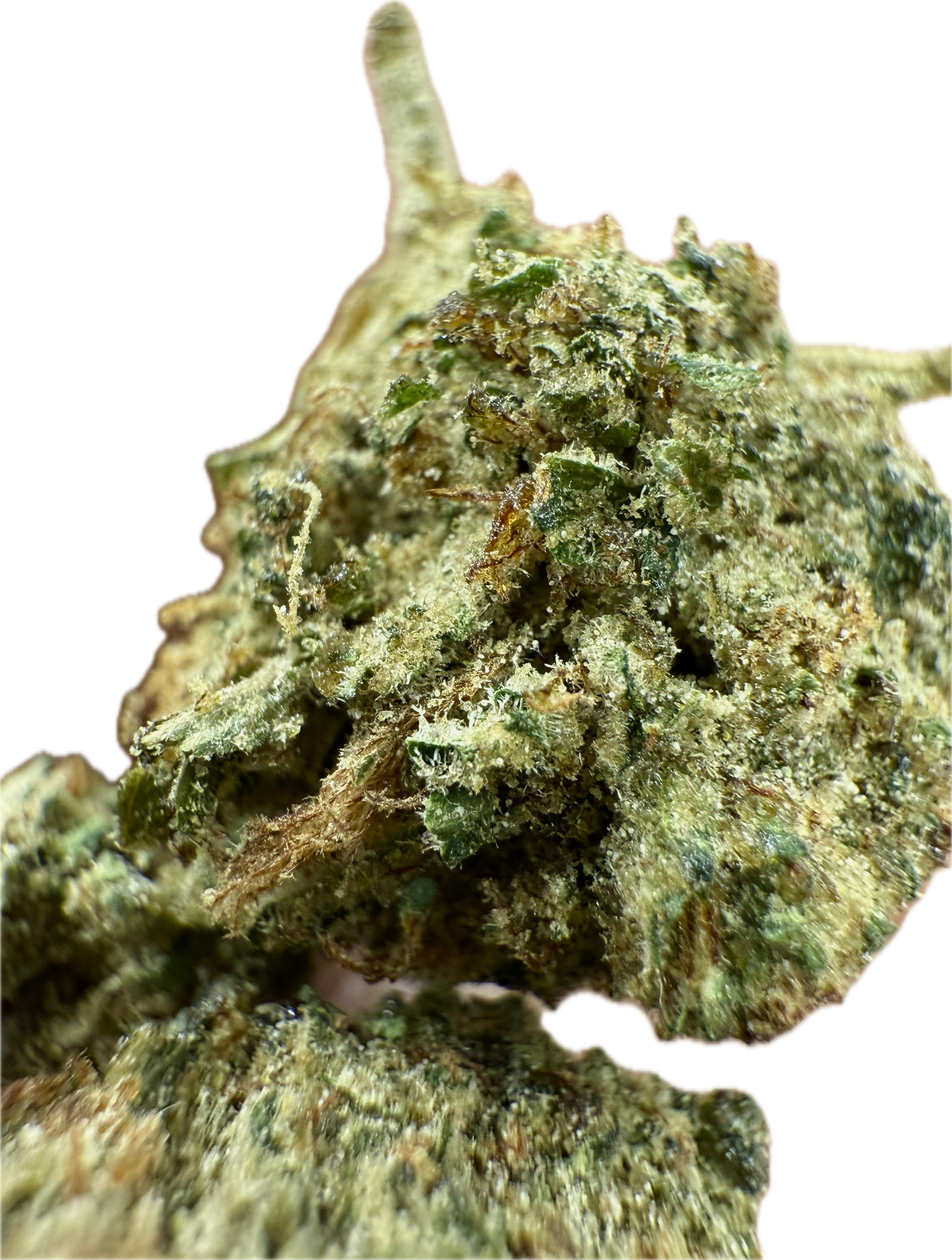 Ripkitty Rootbeer Floatz HHC Hemp Flower