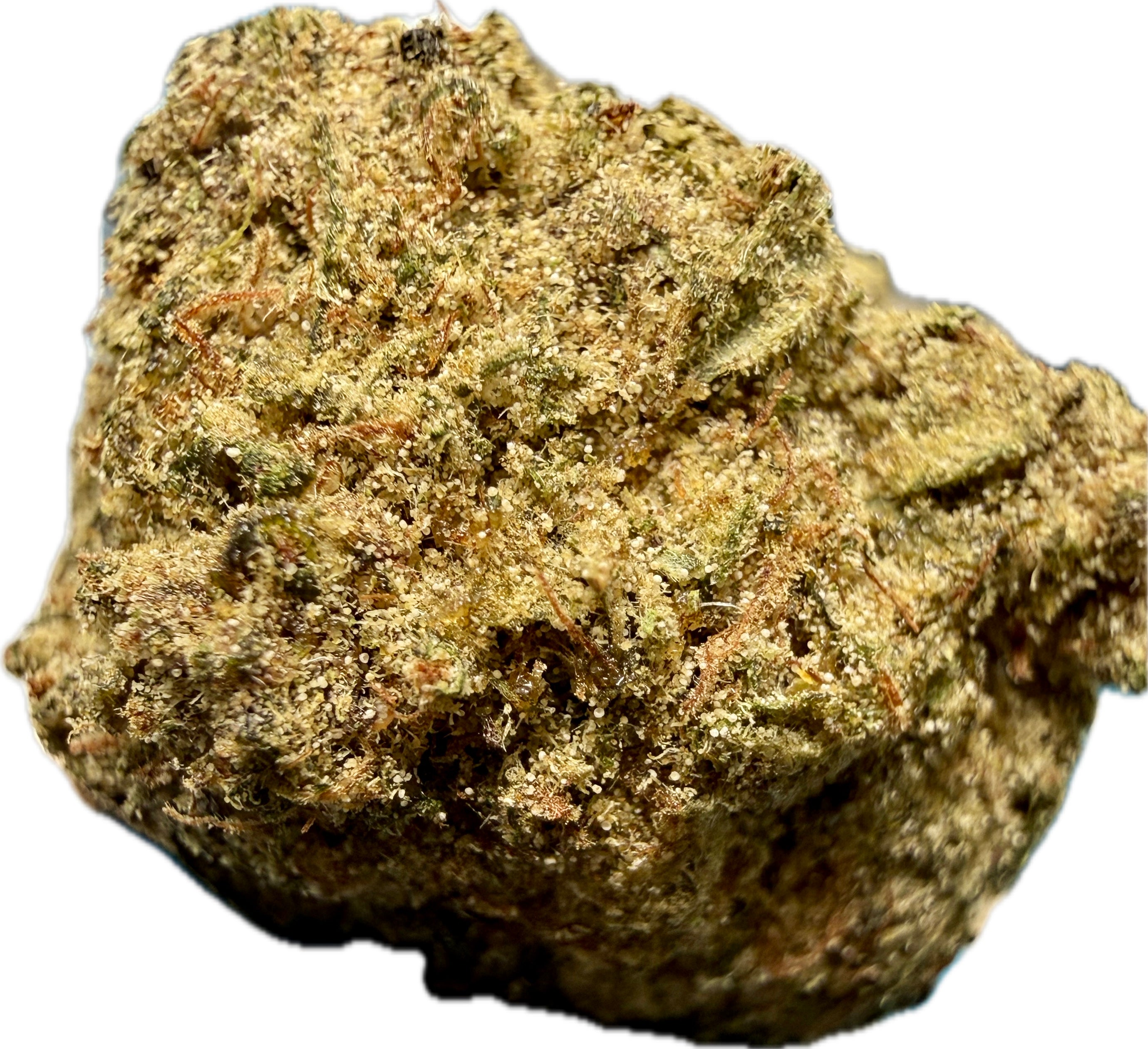 Ripkitty Strawberry Fritters Delta-8 hemp flower — macro close-up of large dense nug showing golden-tan trichome coating over olive-green calyxes with amber pistils and dense bud structure, white background
Video: Ripkitty Strawberry Fritters 