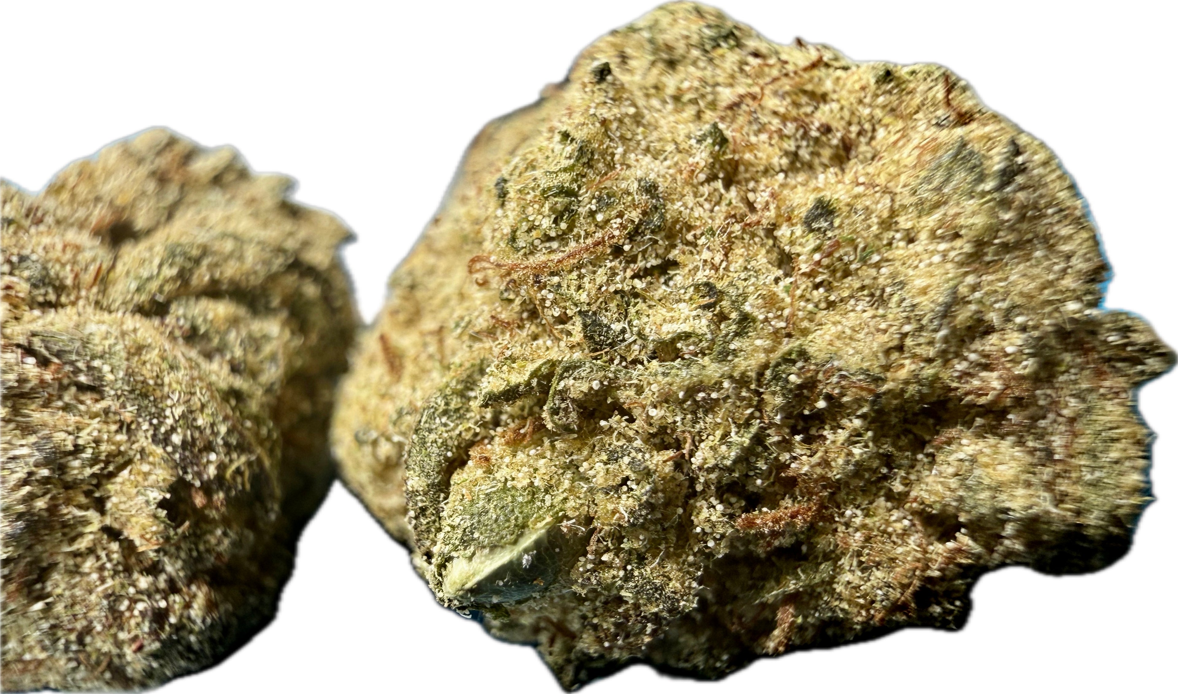 Two Ripkitty Angel Cake Delta-8 moonrock nugs — large foreground nug showing thick golden kief coating over green calyxes with amber pistils, smaller nug in background, white background