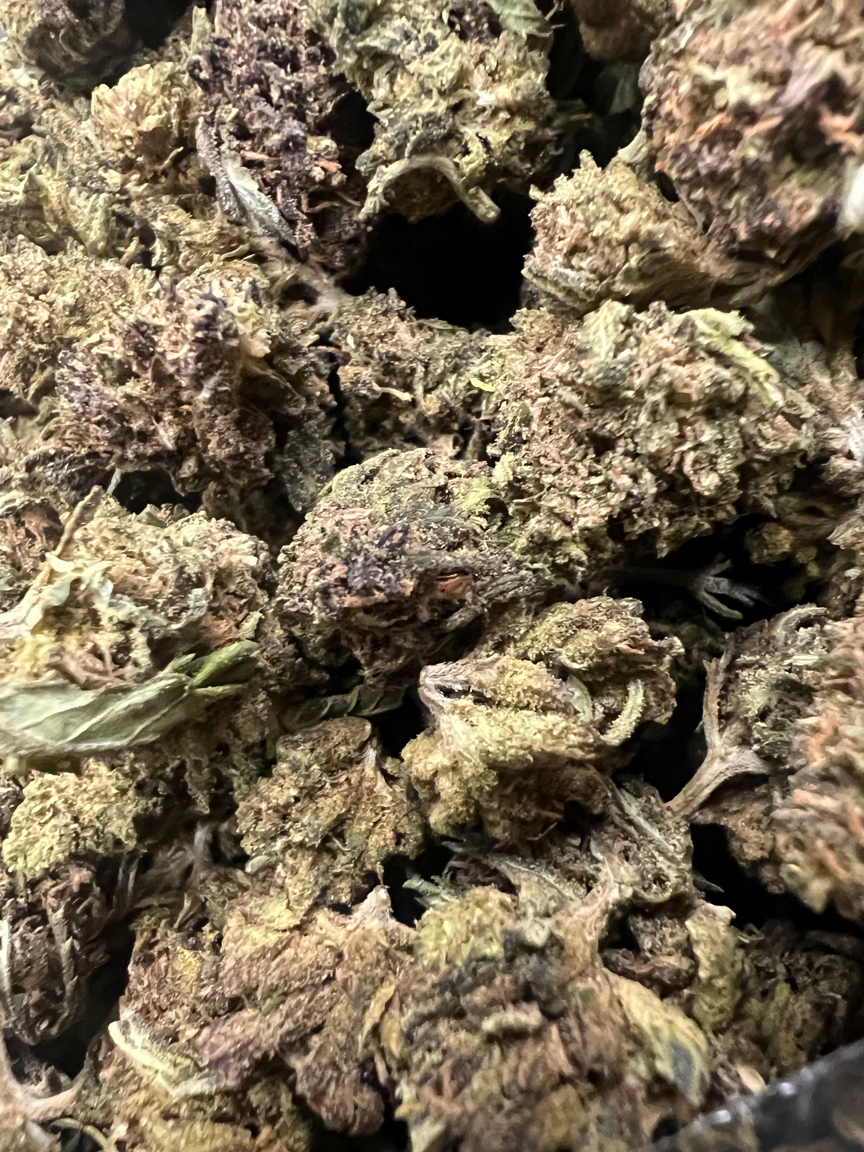 Ripkitty Abacus Diesel CBD Hemp Flowers