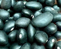 Ripkitty Organic Black Beans - Plantable, High-Yield, Affordable, Non-GMO