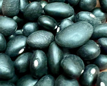 Load image into Gallery viewer, Ripkitty Organic Black Beans - Plantable, High-Yield, Affordable, Non-GMO
