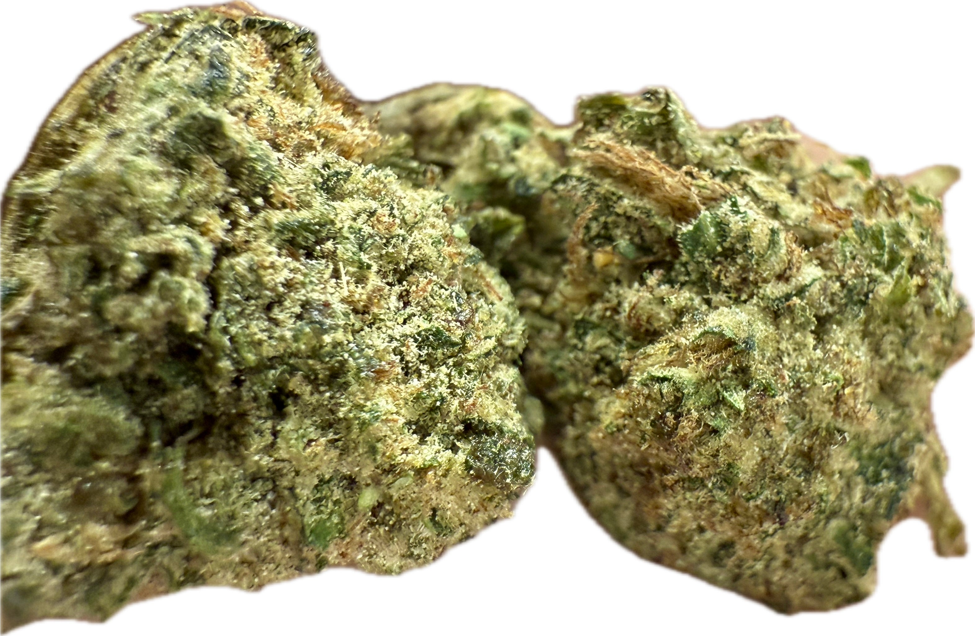 Ripkitty Rootbeer Floatz HHC Hemp Flower
