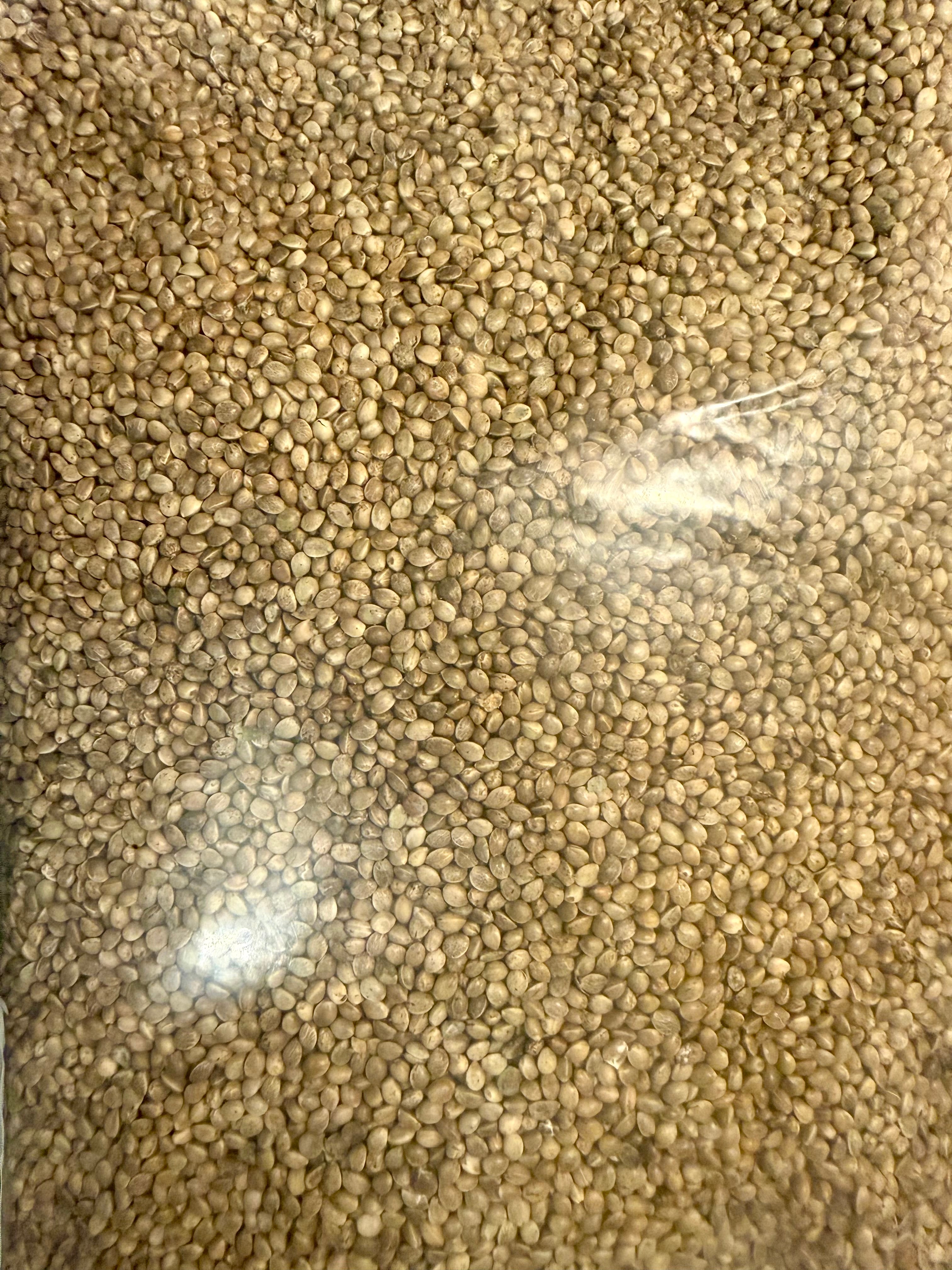Ripkitty Premium Live Raw Viable Sprouts Organic Whole Hemp Seeds