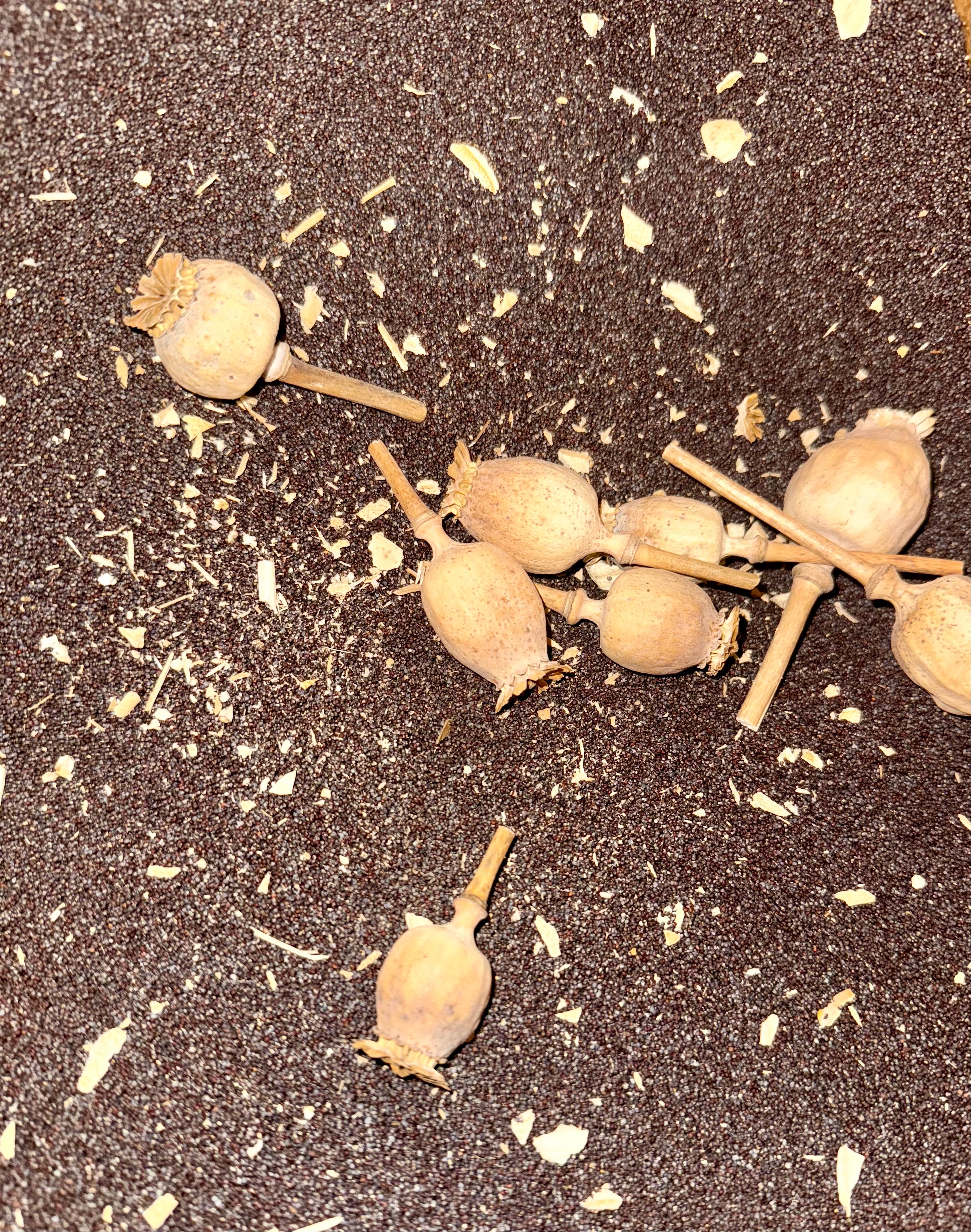 Ripkitty Premium Unwashed Untreated Unprocessed Organic Natural Whole Raw Papaver Somniferum Culinary Poppy Seeds