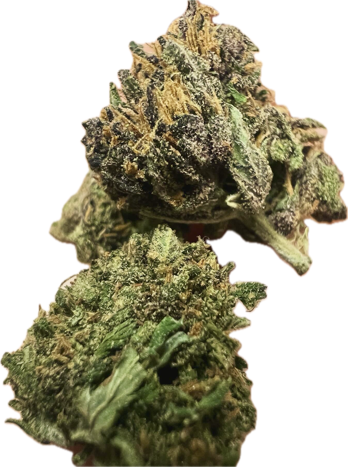 Ripkitty Pink Panther CBD Hemp Flowers