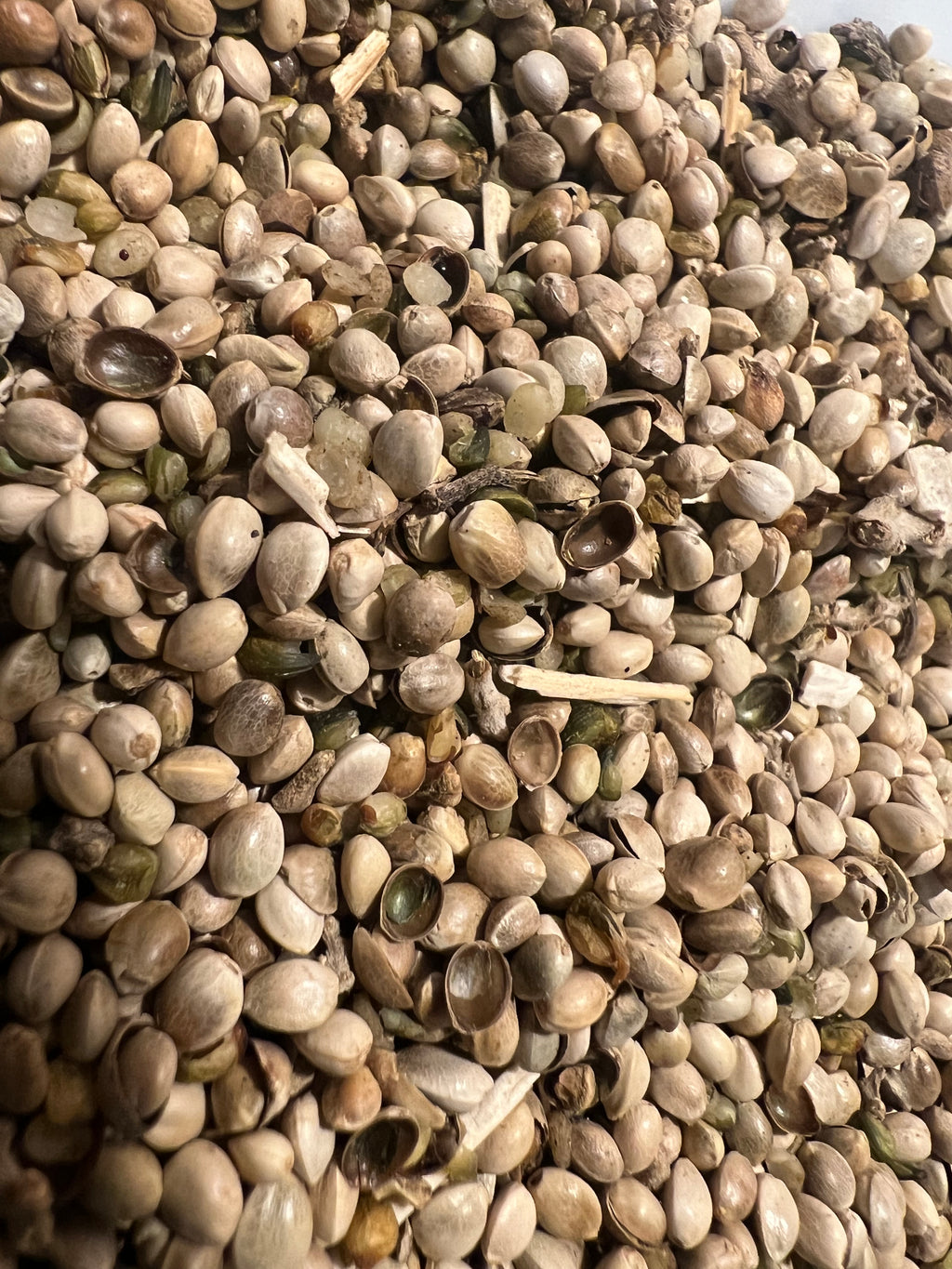 Ripkitty Premium Raw Organic Hemp Seeds Poultry Birds