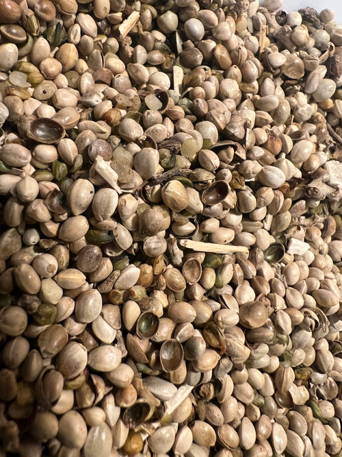 Ripkitty Premium Raw Organic Hemp Seeds Poultry Birds