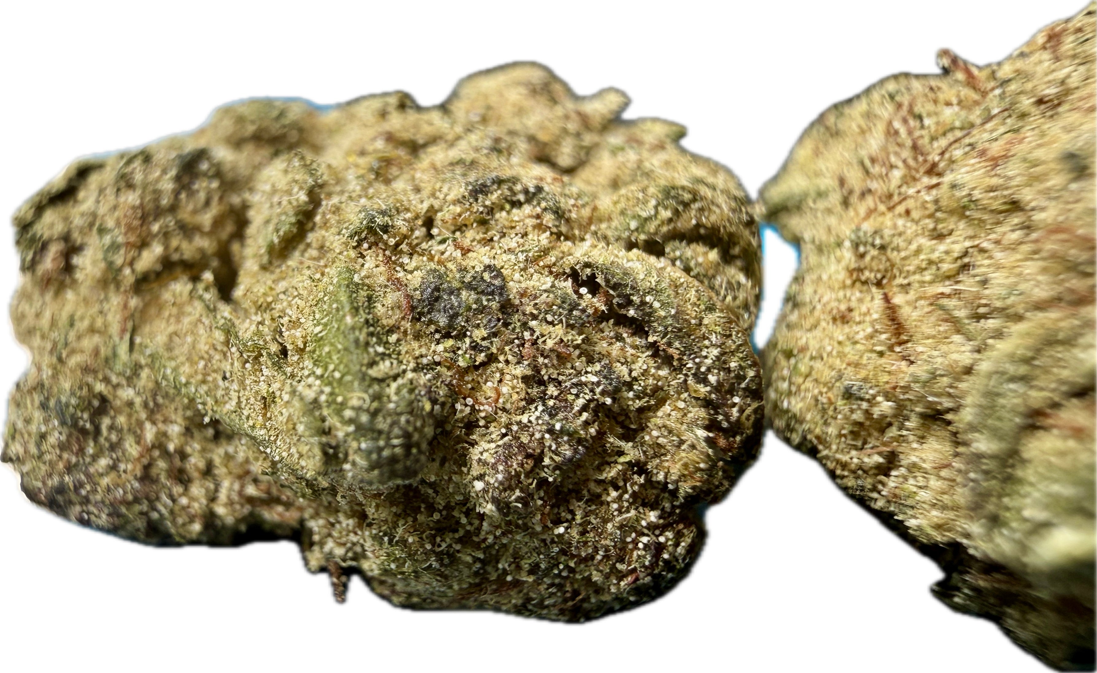 Ripkitty Angel Cake Delta-8 Hemp Flower